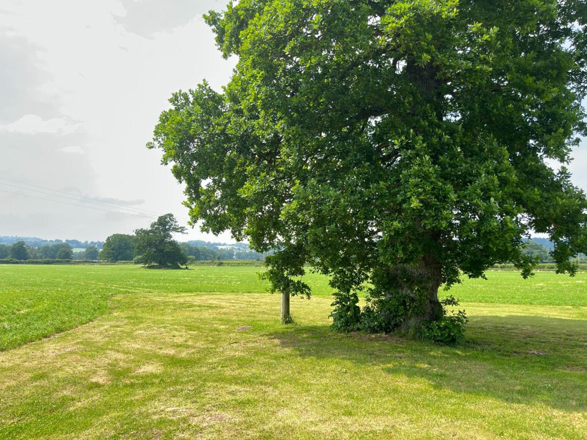 Pass The Keys Hare Cottage Wonderful Views And Parking Moreton-in-Marsh Buitenkant foto